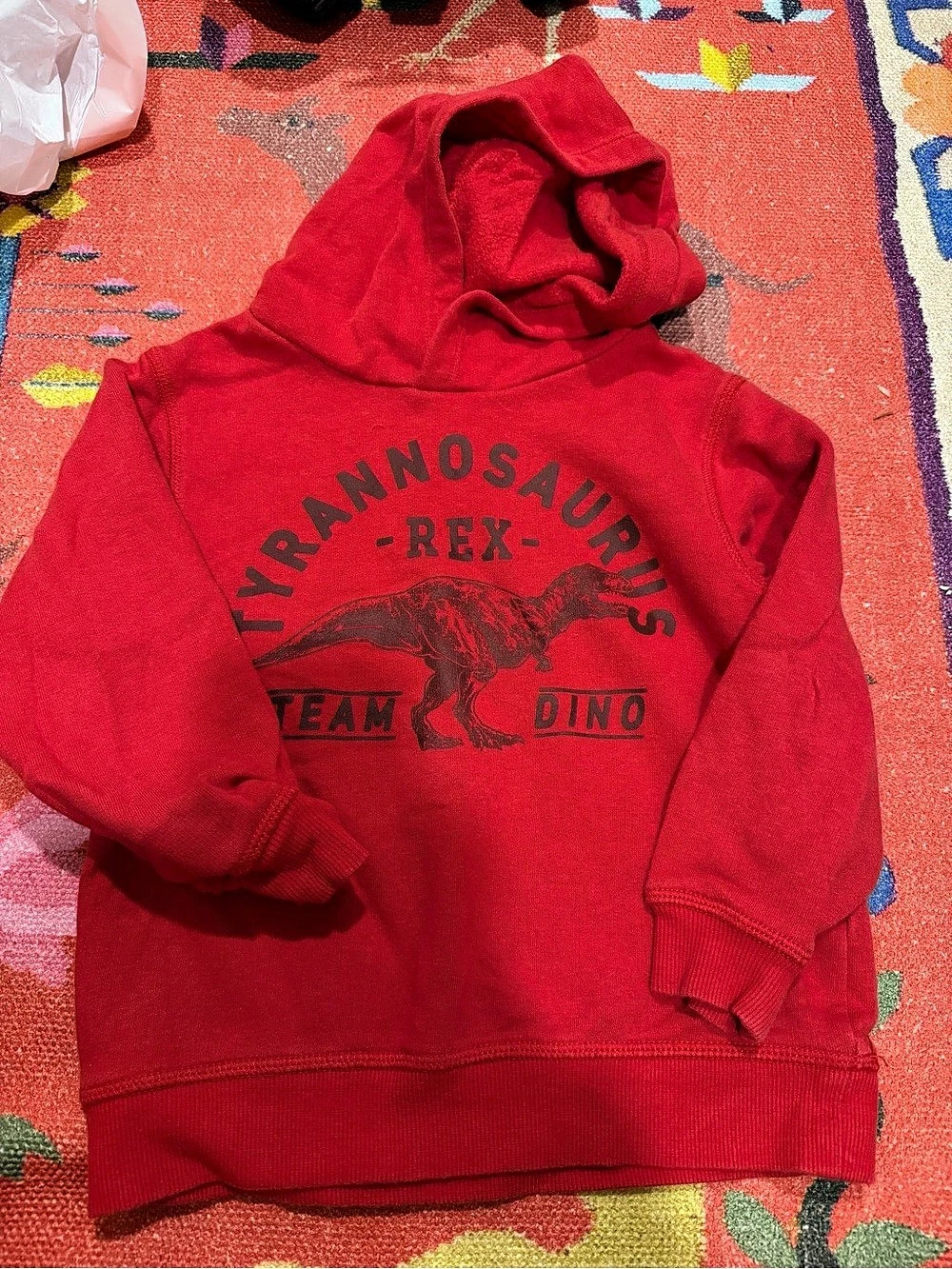 H&M Kids Red T-Rex Graphic Hoodie
